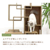 ラージセブンルームズ - Image 6
