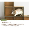 キャットボックス - Image 5