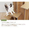 キャットバルコニー - Image 4