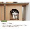 キャットバルコニー - Image 5