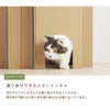 キャットバルコニー - Image 6
