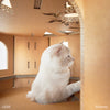 キャットタワー　ディズニーシリーズ / 塔の上のラプンツェル - Image 13