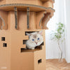 キャットタワー　ディズニーシリーズ / 塔の上のラプンツェル - Image 14