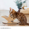 キャットトイ　ディズニーシリーズ / アラジン - Image 8